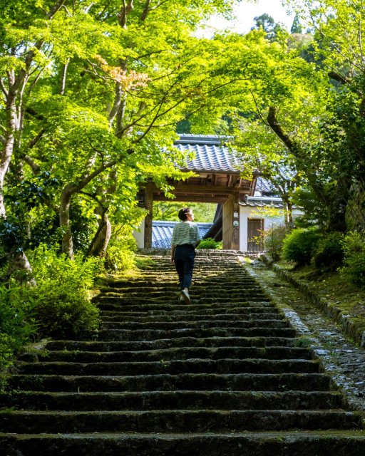 Capturing Fleeting Moments With Maigo Mika Topics VISIT KOCHI JAPAN capturing-fleeting-moments-with-maigo-mika-topics-visit-kochi-japan