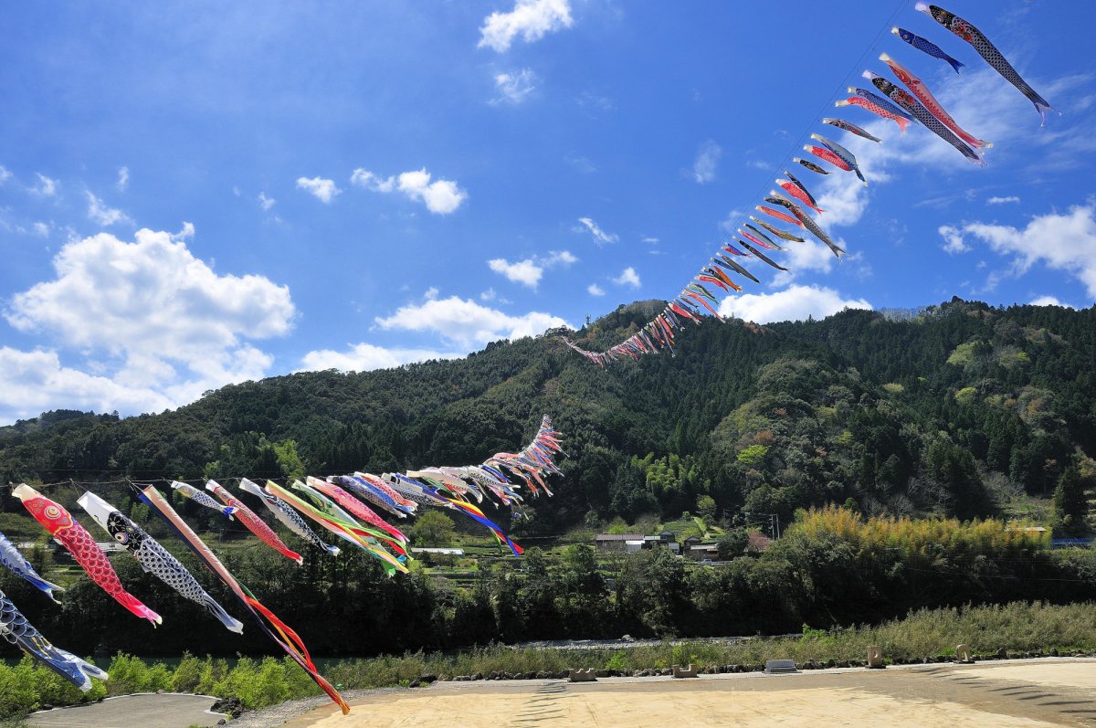 鯉のぼり　旗　72×500 鯉のぼり 旗 72×500