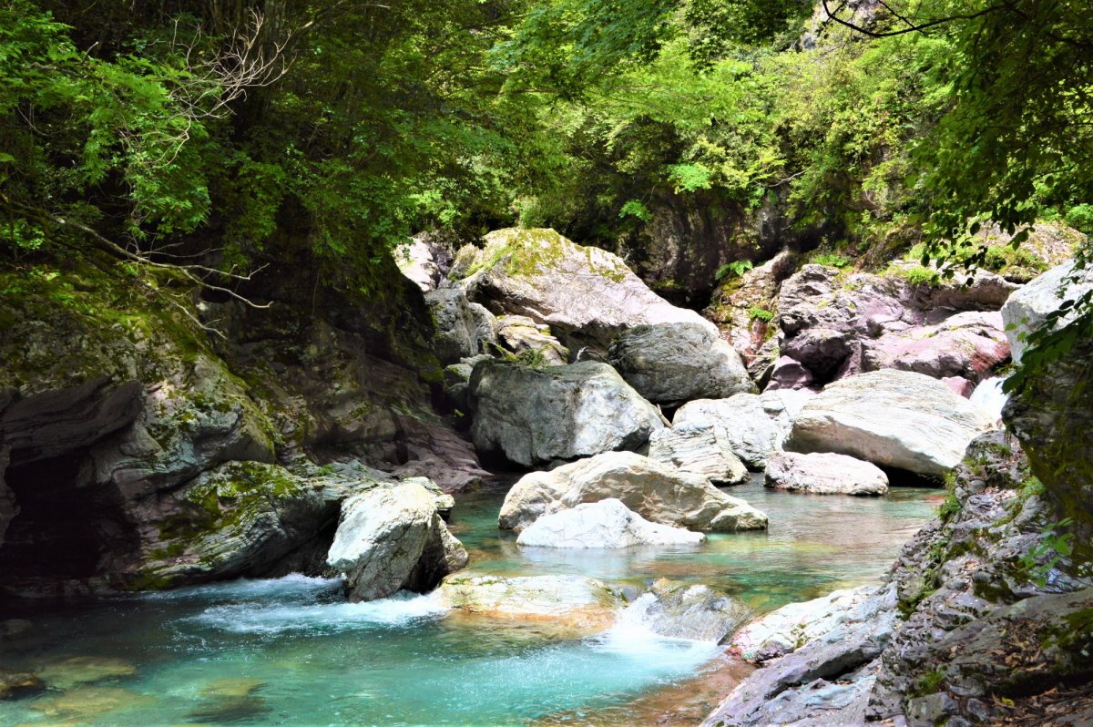 Nakatsu to See & Do｜VISIT KOCHI JAPAN