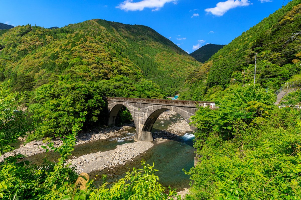 ゆ*⭐様 OLD MOUNTAIN×botanize×Koti KAKERUYA Yuzu-filled Kitagawa Village｜What to See & Do｜VISIT KOCHI JAPAN