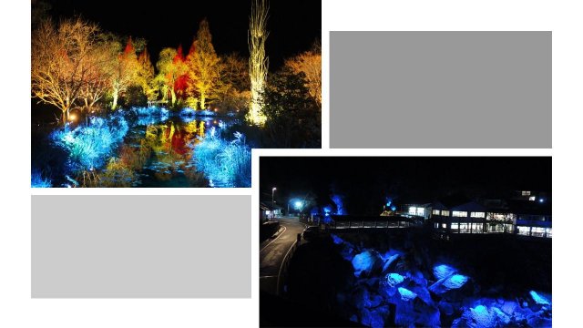 (The event has ended)Kochi Festival of Lights 2019 ~Sparkling Winter of the New Era~