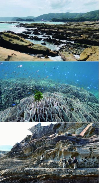 足摺海洋館satoumi 全新開幕 高知西南弘法大師也讚嘆的五大必賞推薦 使用巴士周遊券交通更方便 話題 Visit Kochi Japan 足摺海洋館satoumi 全新開幕 高知西南弘法大師也讚嘆的五大必賞推薦 使用巴士周遊券交通更方便 話題 Visit Kochi Japan