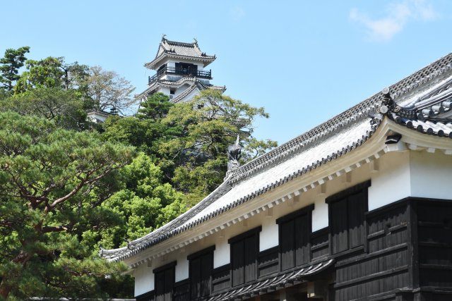 Explore Kochi Castle like a ninja or samurai by following our new guide!