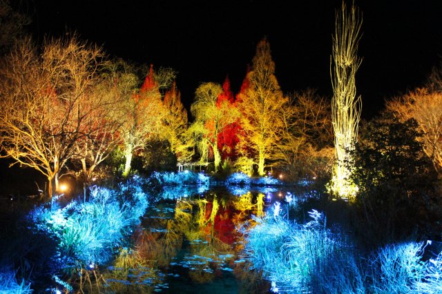 Light festival at Monet’s Garden