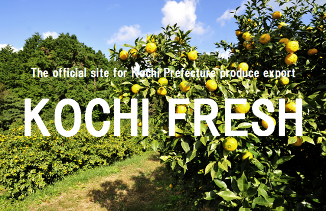Website that introduces Kochi Prefectural food products to the world, KOCHI FRESH, is now live