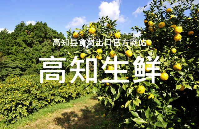 面向海外的高知县产食材介绍的官方网站「KOCHI FRESH」正式上线了