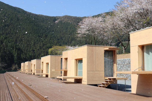 Enjoy camping while admiring the cherry blossoms! 