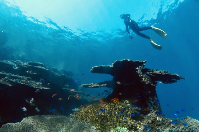 Snorkeling and diving paradise Uguru was featured in Outdoor Japan!
