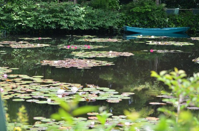 The beauty of Monet's garden... in Kochi?