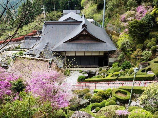 Konomine-ji: Kochi's toughest temple!