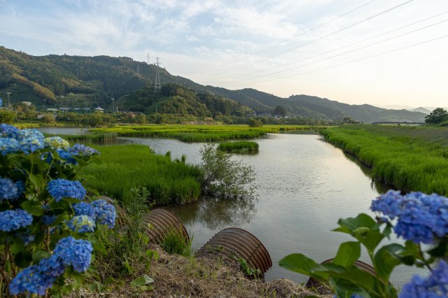 Explore Kusaka River Reservoir, Kochi’s largest wetland