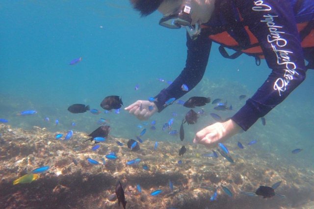 Ocean adventures by Nahari's beautiful reefs