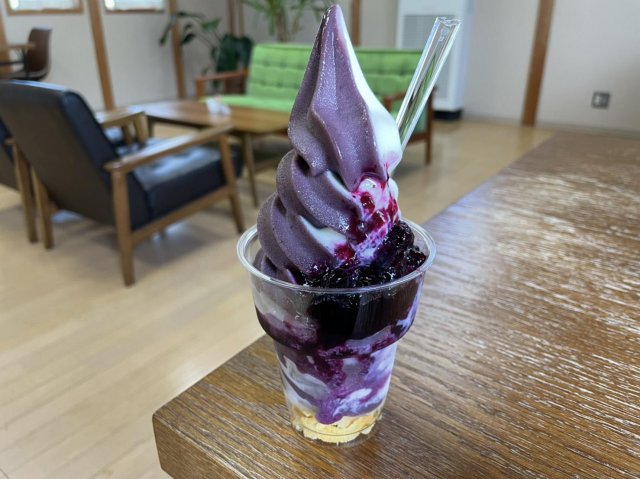 高知冰淇淋企劃開箱｜霧生園藍莓甜點