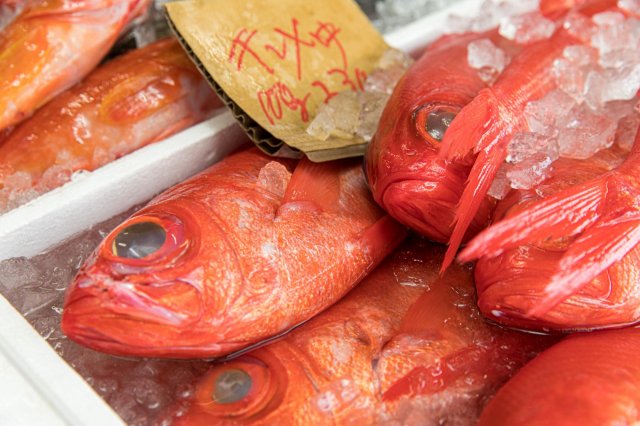 This might be the freshest alfonsino bowl in Japan?!