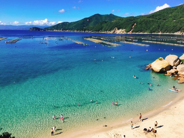 Kashiwa Island Blue 