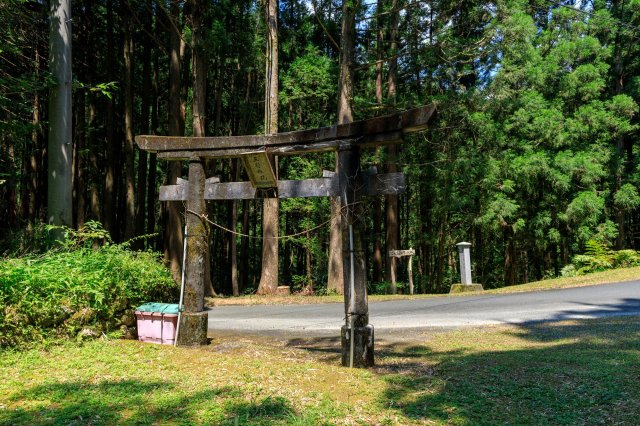 Mitaru Gongen Waterfall: A hidden gem nestled in Kochi’s mountains