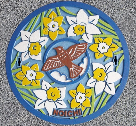 Kochi's artistic manhole covers