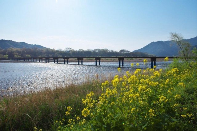 Seasons of chinkabashi bridges