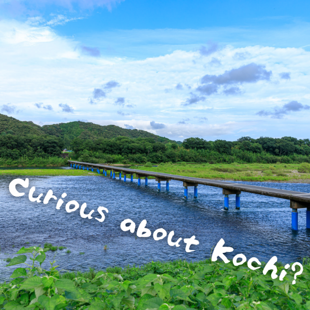 Curious about Kochi? Ask us anything! 
