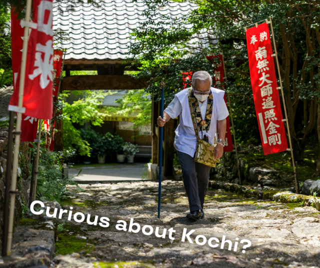 Curious about Kochi? Ask us anything! 