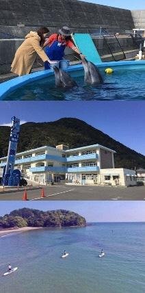搭乘日本首輛鐵公路兩用車 DMV 周遊高知東洋町、室戶市 絕景美食5大推薦