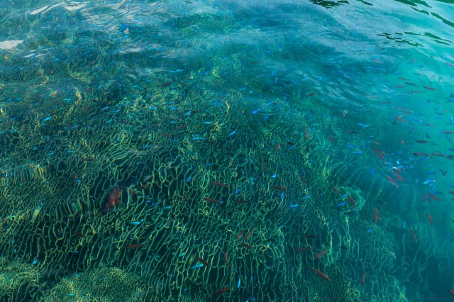 Be one with nature at Tatsukushi Marine Park