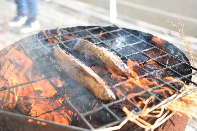 Only have two days in Kochi? No problem!|Topics|VISIT KOCHI JAPAN