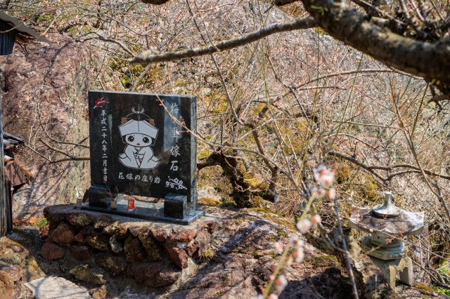 知賞梅特集｜嫁石梅林