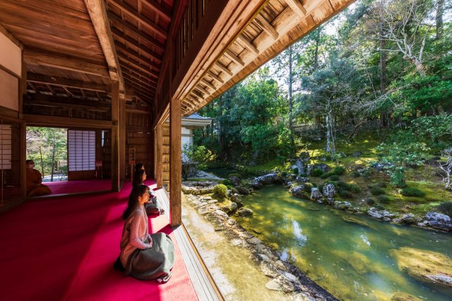 The perfect season for the Shikoku 88 temple pilgrimage has come