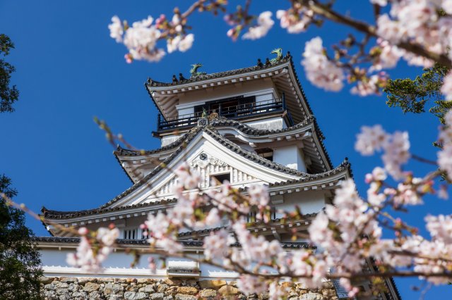 400-year-old castle and 200 cherry trees…a glorious combo!