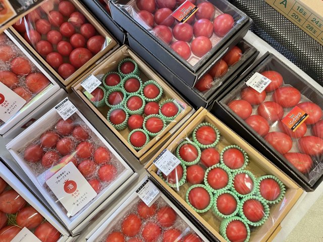 高知發祥的奇蹟栽培法｜紅通通的 #水果番茄