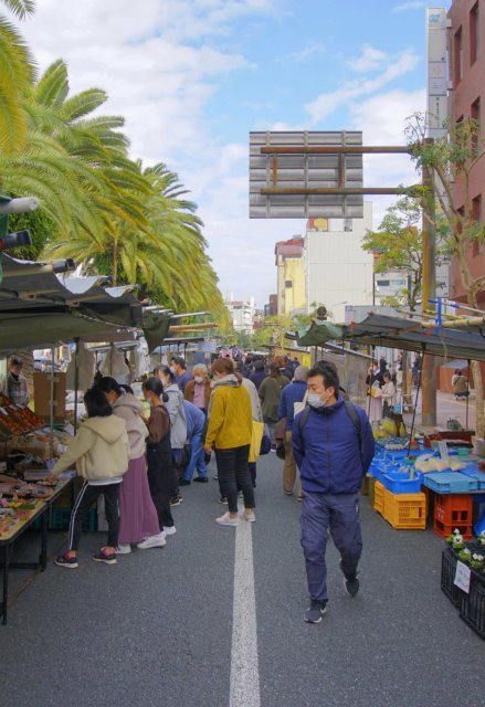 Welcome to the Sunday Market, filled with seasonal delights!