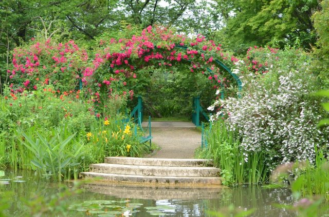 莫內花園｜玫瑰&睡蓮開花了