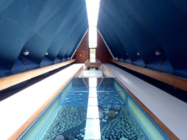 高知縣名建築巡禮｜#海之藝廊（海のギャラリー）