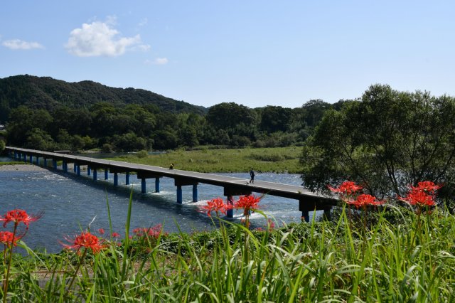 秋天限定 #四萬十川美景