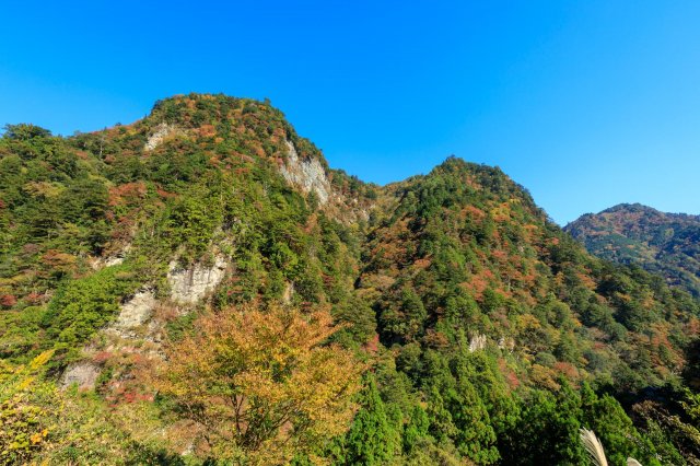 A rhapsody in red, gold, green and blue at Yasui Gorge