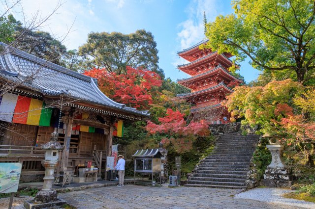 Finding a divine helping hand at Chikurin-ji Temple