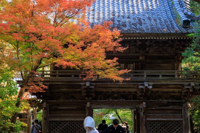 Finding a divine helping hand at Chikurin-ji Temple