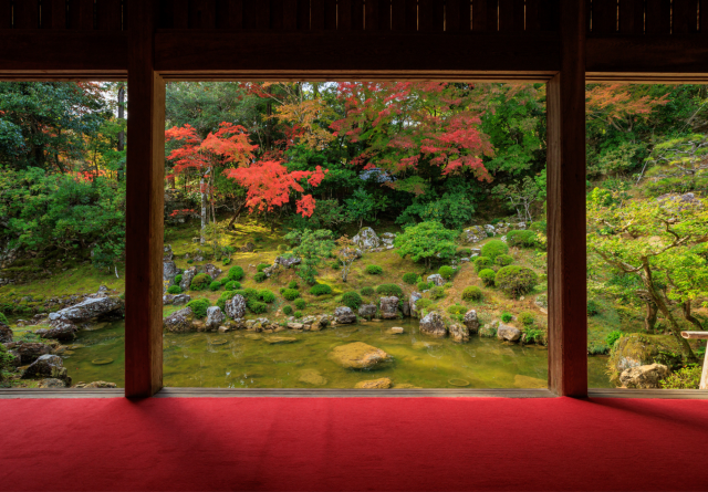 Finding a divine helping hand at Chikurin-ji Temple