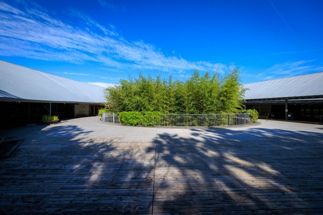 高知縣名建築巡禮｜牧野植物園 & JR高知站
