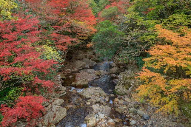 Up for a challenge? Visit Japan’s most secluded autumn spot