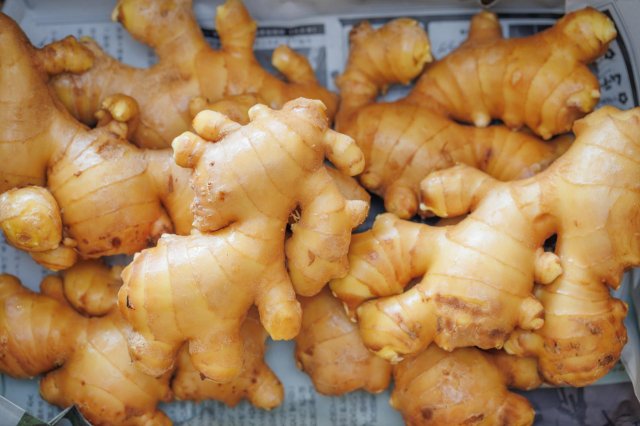 Kochi is a ginger wonderland