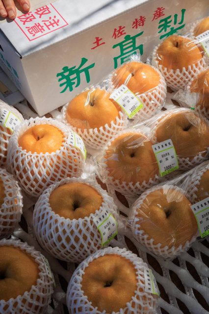 秋季的水果之王 #新高梨