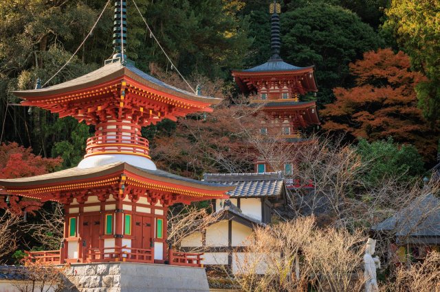 #四國遍路|千年石像傳說 #青龍寺|話題|VISIT KOCHI JAPAN