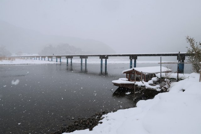 高知冬季美雪景