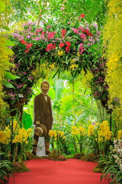 一年一度盛大花展｜牧野植物園 蘭花展