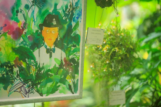 一年一度盛大花展｜牧野植物園 蘭花展