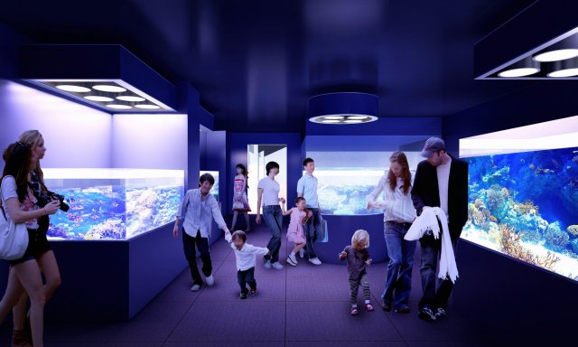 Breathe in nature at our “Kochi Prefectural Ashizuri Aquarium” opening on July 18th 2020!