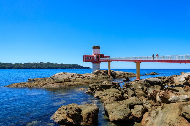 潛水員視角賞海中風景｜四國唯一海中展望塔 #足摺海底館