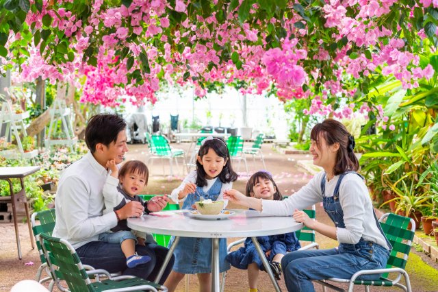 Family fun at this fruit-filled floral paradise